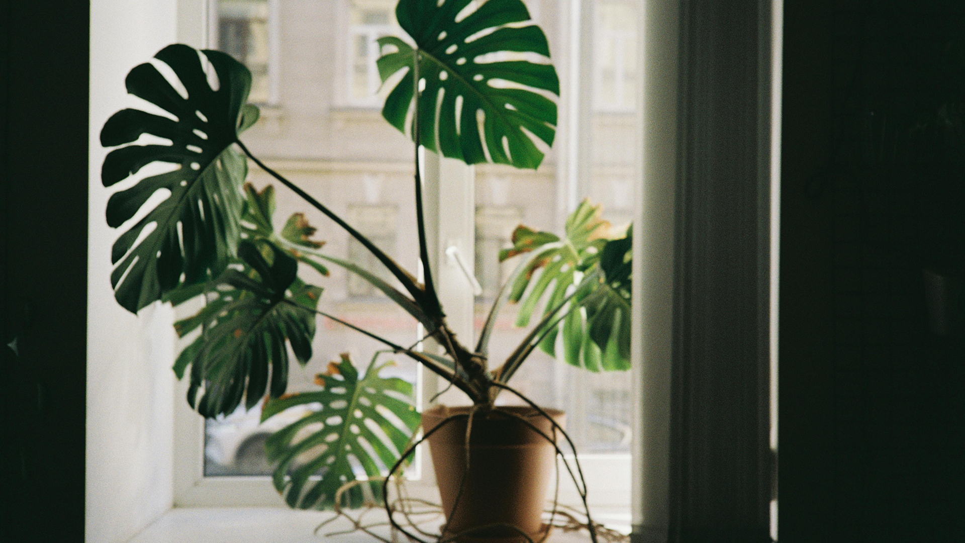 How Property Investment Can Support Your Long-Term Financial Planning